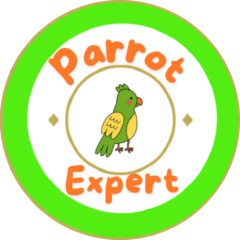 parrot expert