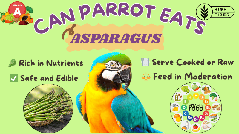 Can Parrots Eat Asparagus (Raw + Seeds)? Facts & Myths