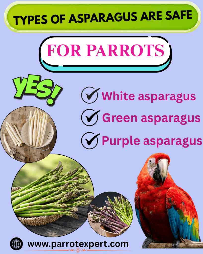 Can Parrots Eat Asparagus
