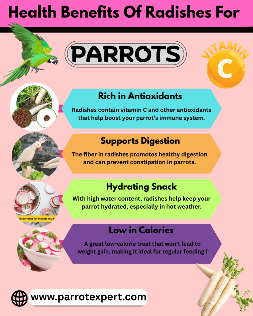 Benefits of Radishes for Parrots