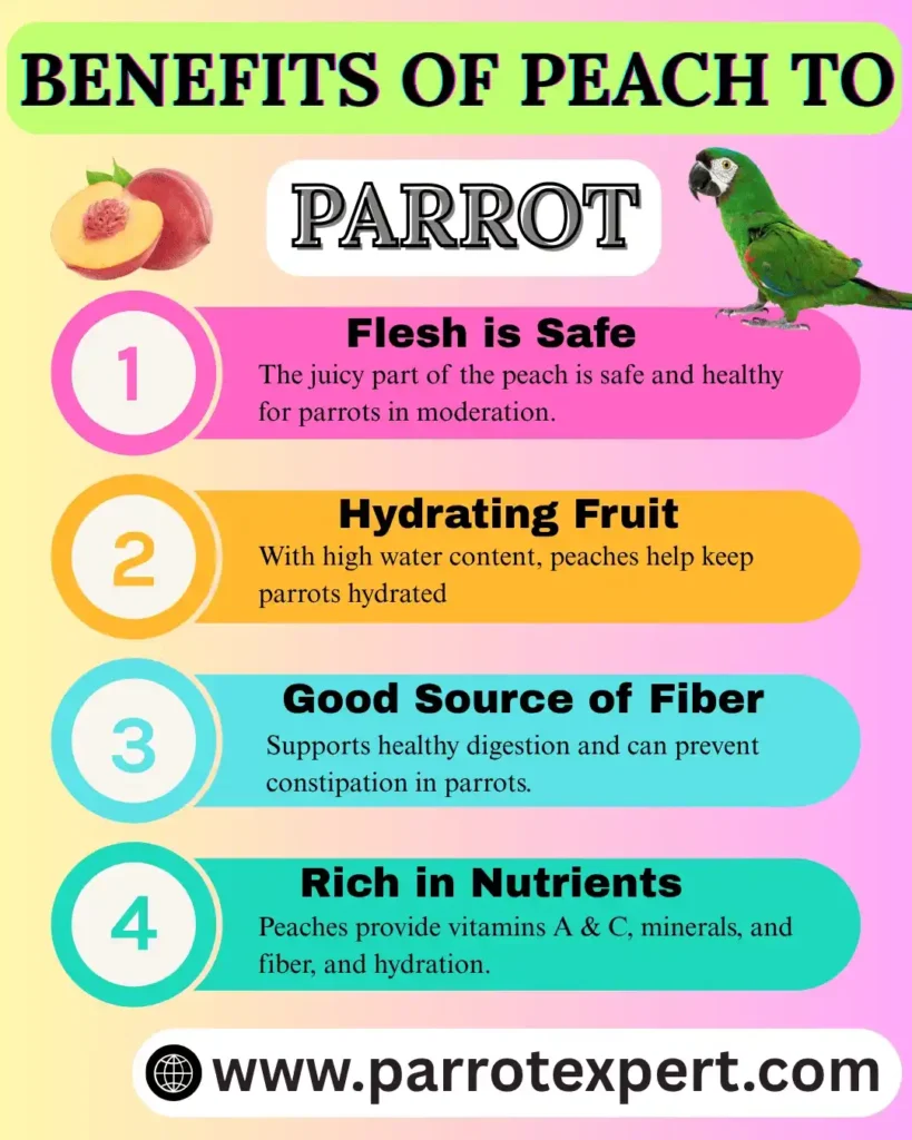 Is Peaches Safe for Parrots