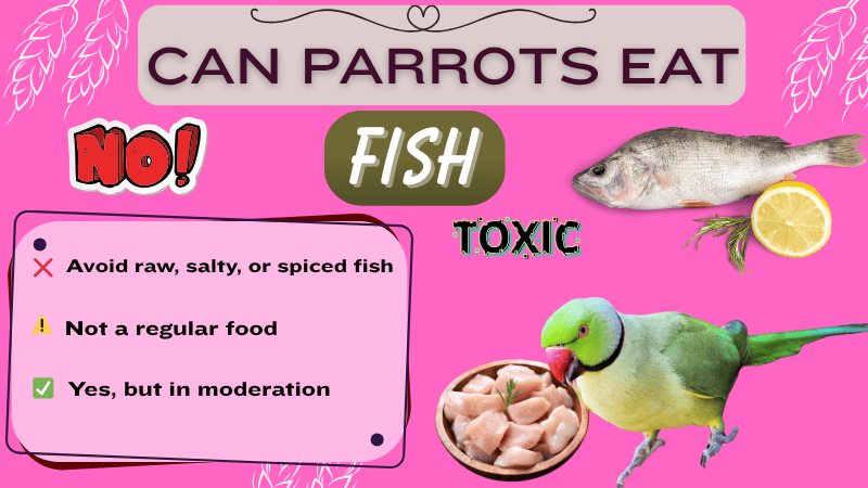 Can Parrots Eat Fish