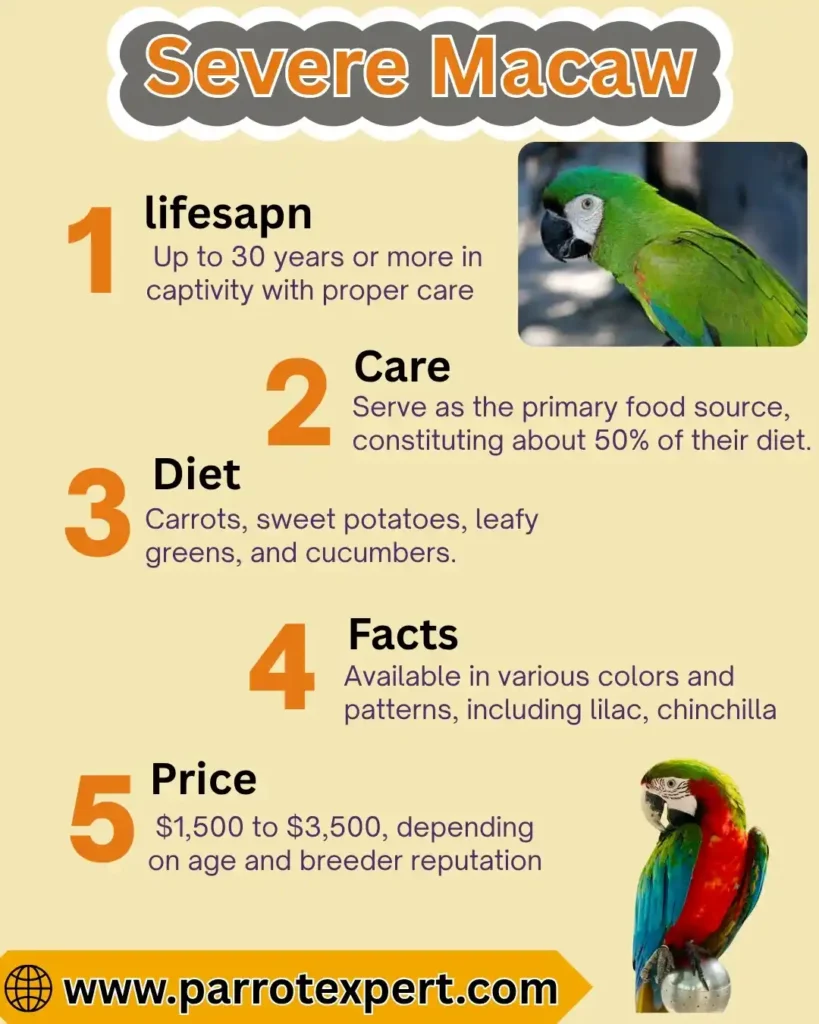 Severe Macaw Lifespan