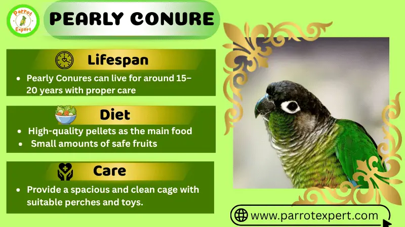 Pearly Conure